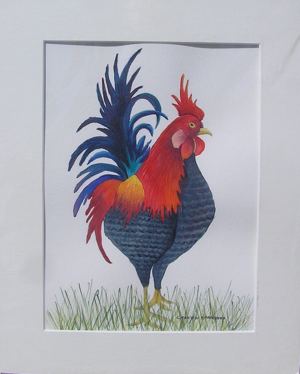 Carrico Rooster